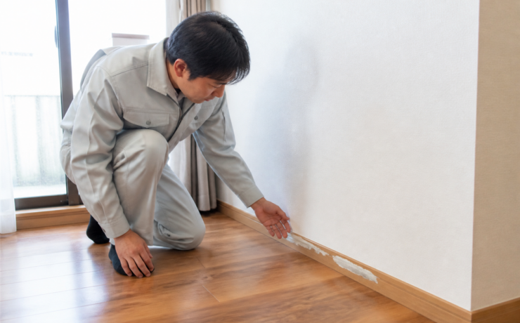 巾木の欠け・剥がれは補修できる？部分補修と交換を決める見方